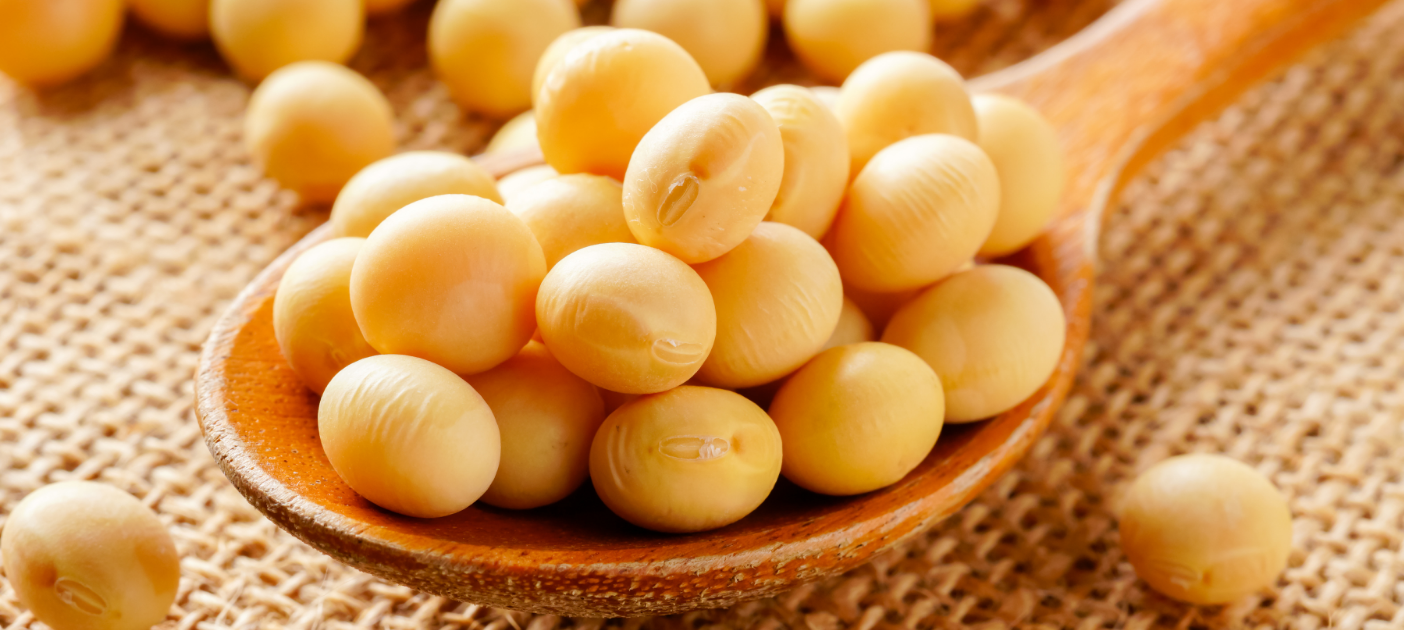 soybean hero banner