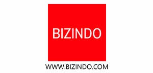 logo-bizindo