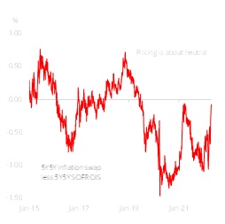 Figure 2: 5Y5Y Implied Real Rates