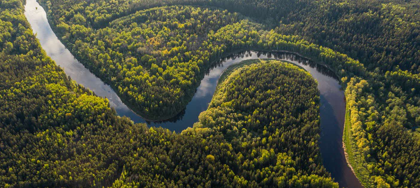 9 Aktivitas Seru di Hutan Hujan Amazon